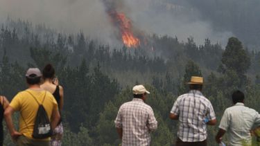 ¿Por qué se difunden tantas teorías conspirativas y noticias falsas en medio de la lucha contra los incendios?