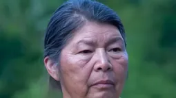 Julia Chuñil: Diputados PS exigen a fiscal nacional dar explicaciones por actuar negligente del Ministerio Público