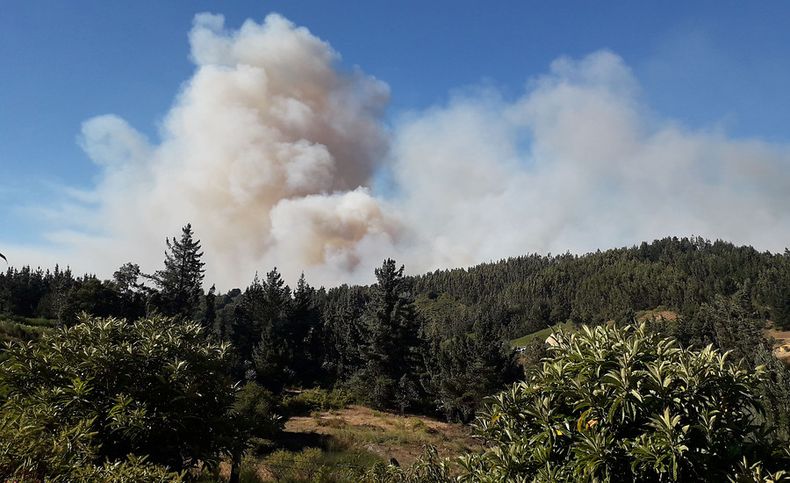 incendios cochrane.jpg