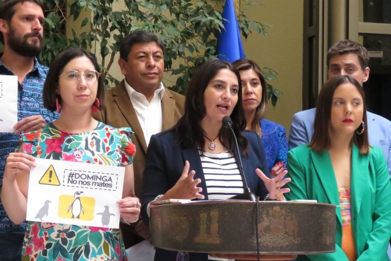 Nathalie Castillo Dominga e1673457261505.jpeg