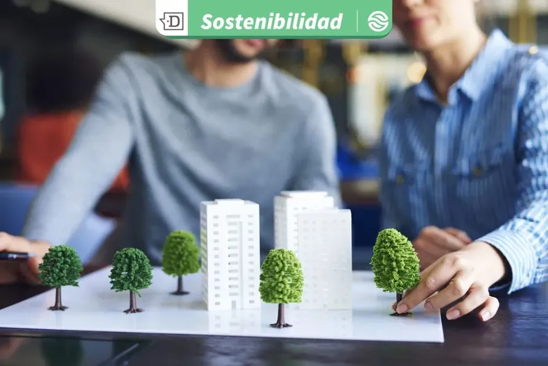 20606 diseno sin titulo 2025 08 11t115224.webp