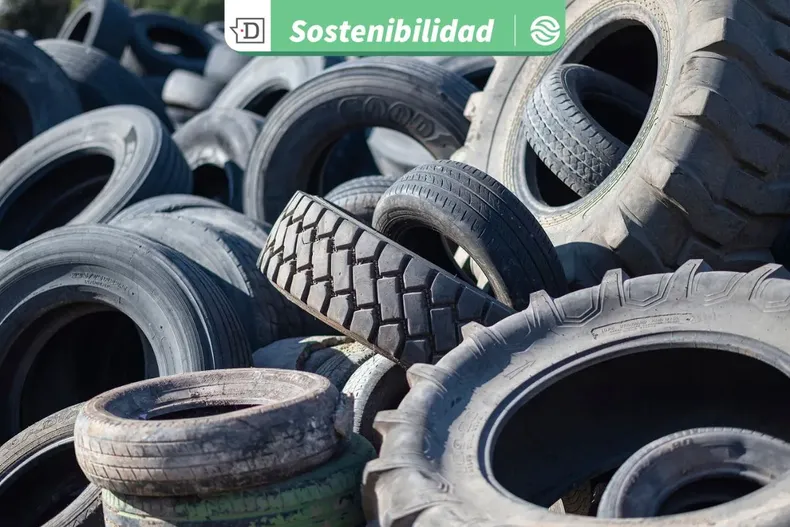 30422 diseno sin titulo 2026 02 24t151000.webp