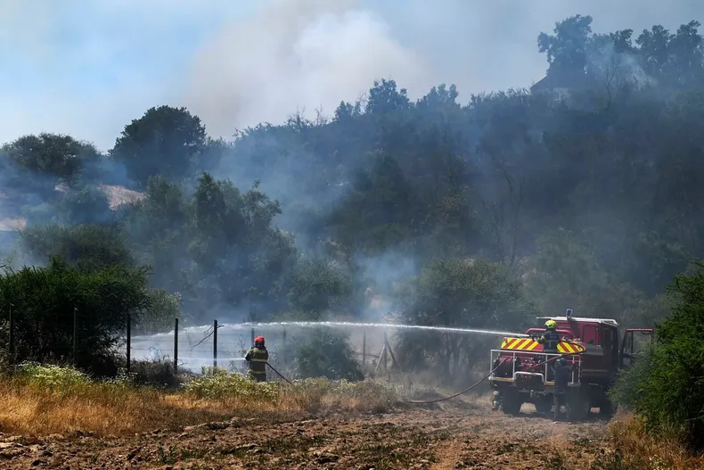 10050 incendios.webp