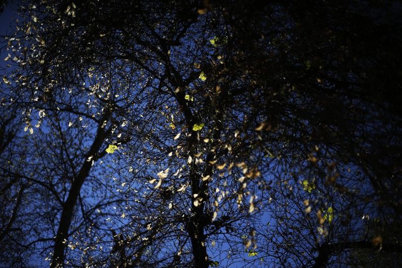 Depresion estacional scaled e1695663191388.jpg