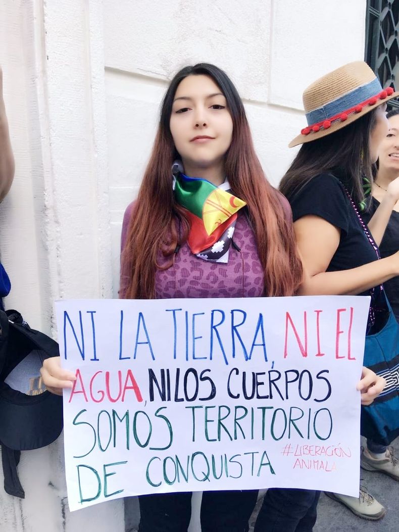 2971 camilazarate0.jpg