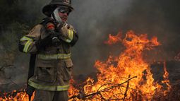 Incendios forestales: 24 fallecidos, 12 colegios destruidos y 430 mil hectáreas consumidas