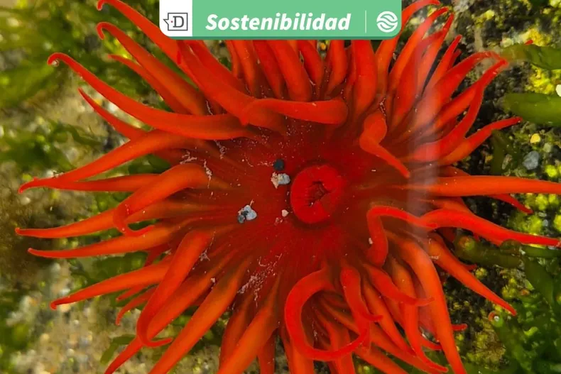 25326 diseno sin titulo 2025 11 05t174511.webp