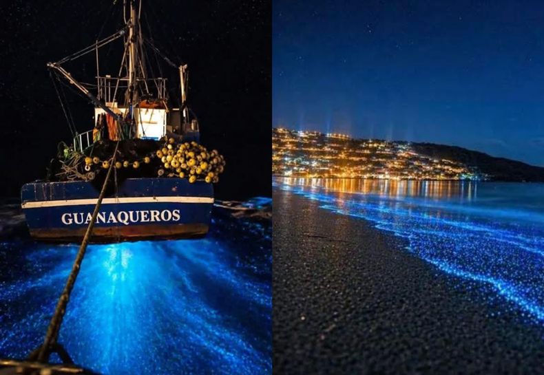 Bioluminiscencia en Guanaqueros - Facebook T.V Astorga