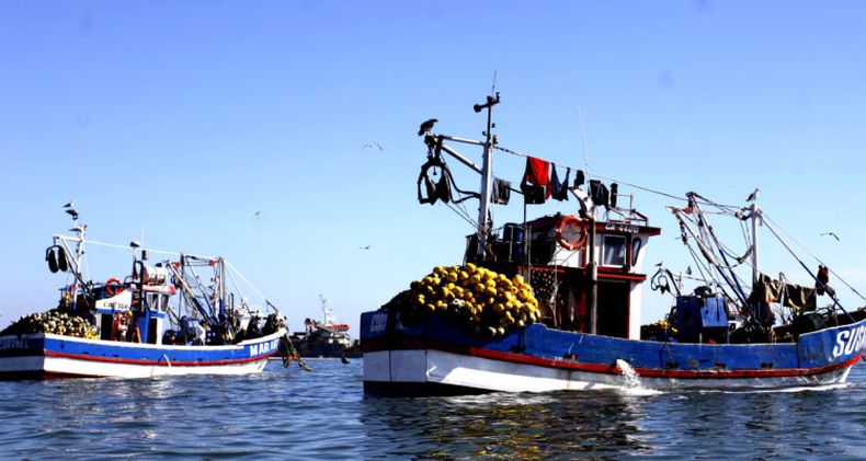 pescadores artesanales bio bio.jpeg