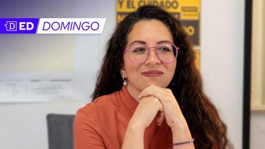 Gael Yeomans: “Es erróneo hablar de una revisión crítica del programa de gobierno”