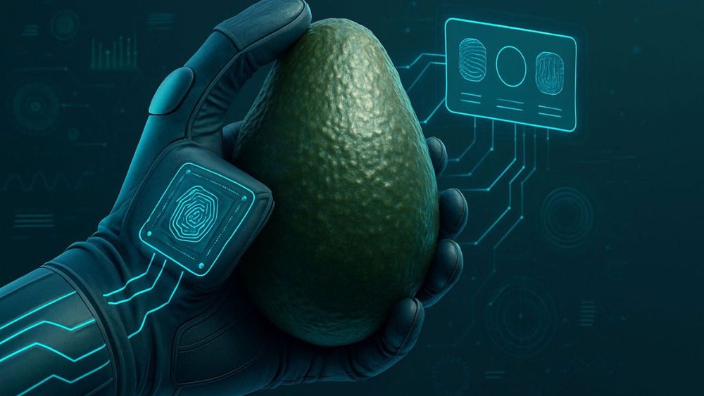 La finalidad es optimizar la inocuidad y reducir el desperdicio alimentario. La inteligencia artificial actúa como una herramienta esencial y efectiva.