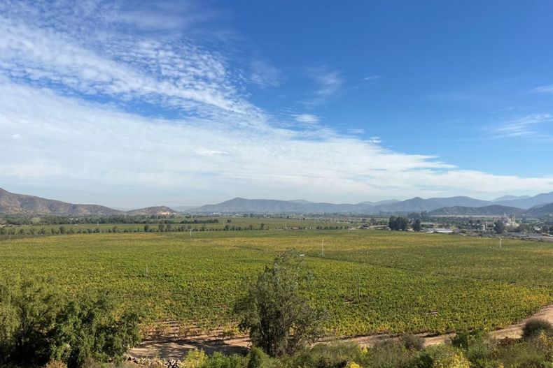 Diseño sin título - 2026-04-21T121534.205