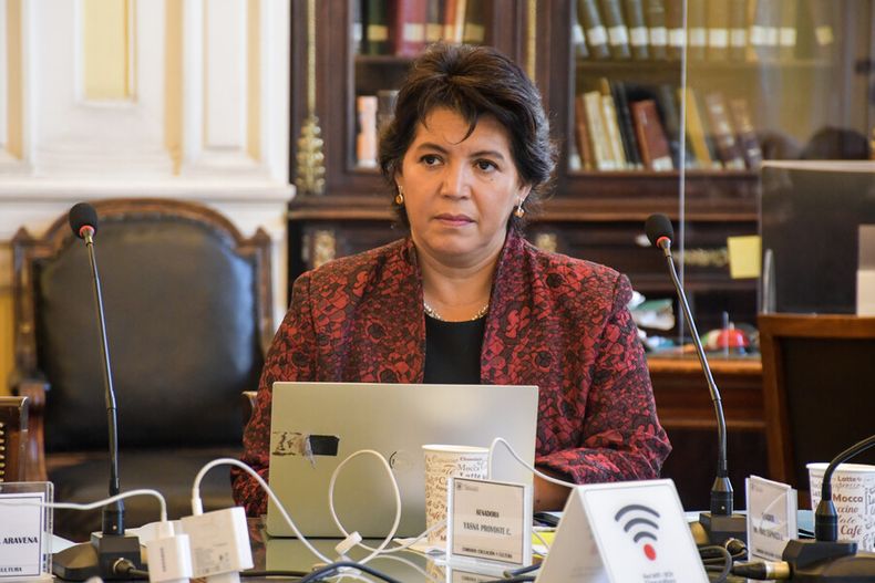Yasna Provoste.jpg