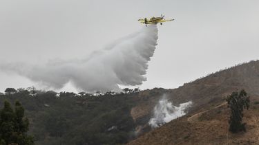 Incendios forestales en 5 regiones del país: Valparaíso en Alerta Amarilla tras fuerte avance