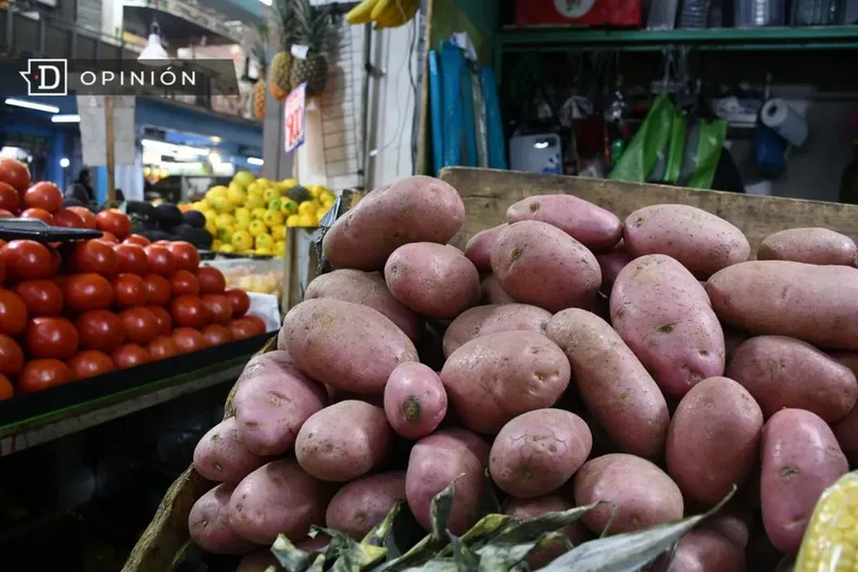 16411 foto de frutas y verduras en la vega.webp