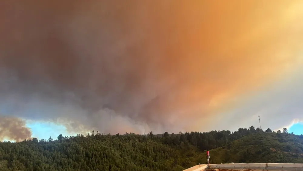 Incendios forestales y humo tóxico: Cómo el material particulado daña el organismo y cómo elegir la mejor mascarilla