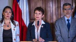 Gobierno y opción de veto presidencial a la Ley Nain-Retamal: “Es muy anticipado”