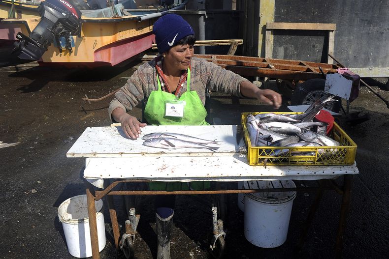 Pesca artesanal y equidad de genero scaled.jpg