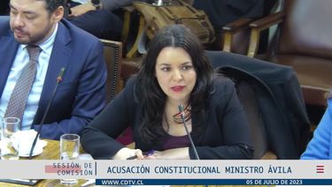 El Desconcierto | Camila Rubio Junaeb.jpeg