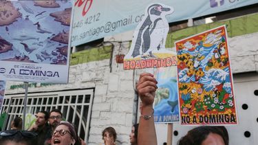 El Desconcierto | 11484 carteles contra dominga.jpg