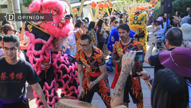 El Desconcierto | Mascara_opinion_ED.png