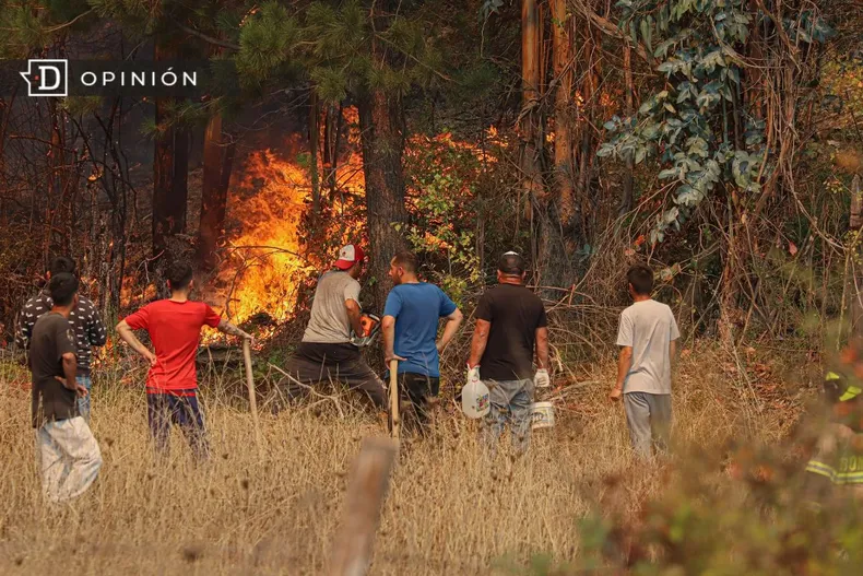 25069 incendio forestal.webp