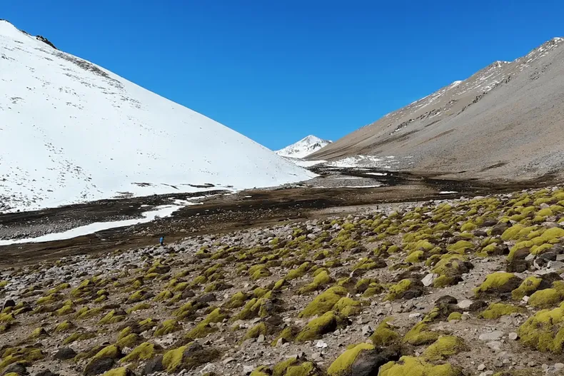 13663 santuario sasso.webp