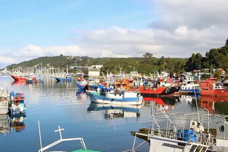 13303 diseno sin titulo 2025 03 24t212528.webp