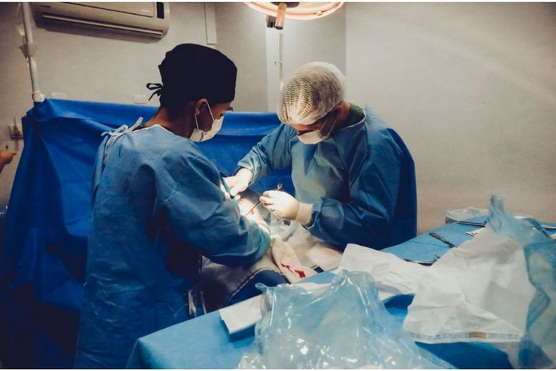 7312 foto de vidal balielo jr pexels.jpg