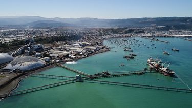 El Desconcierto | 8445 pesca industrial.jpg