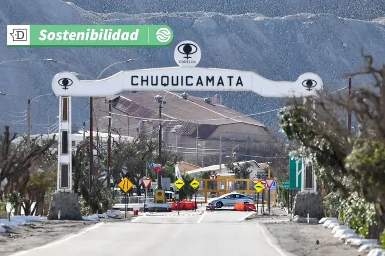 11595 alianzacolddd.webp