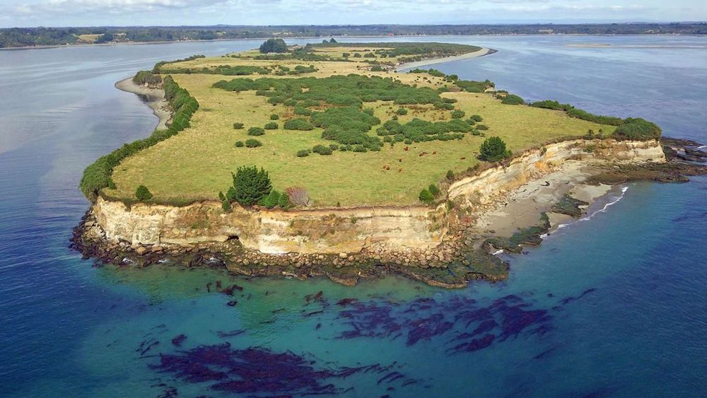 Venta de isla chilota por U$S 3 millones pone en alerta a huilliches por su valor sagrado