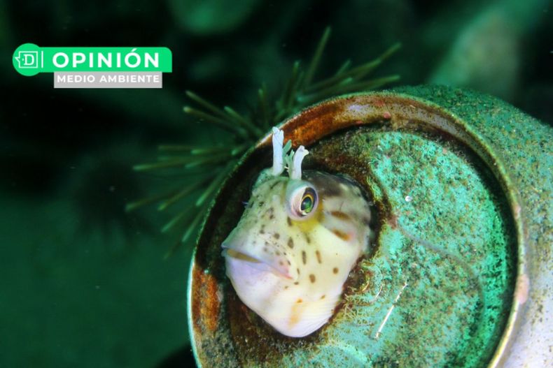 1158 foto arte y ciencia.jpg