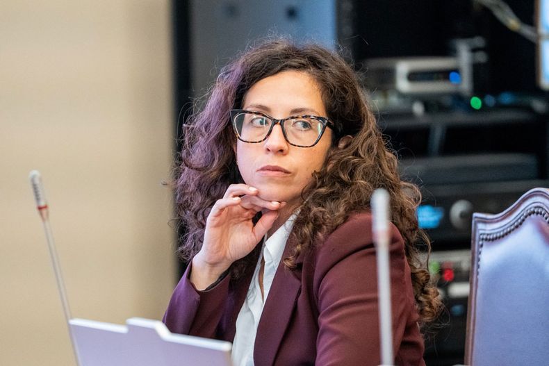 La diputada Gael Yeomans durante una comisión del Congreso - Imagen cedida