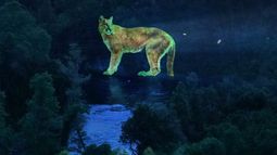 Artistas denuncian con proyecciones gigantes de luz el impacto industrial en las aguas del sur