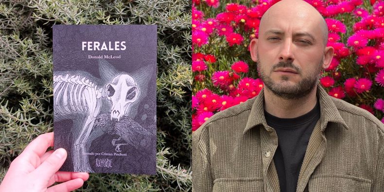 Escritor chileno Donald McLeod lanza libro Ferales con cuentos sobre animales de la Patagonia.&nbsp;