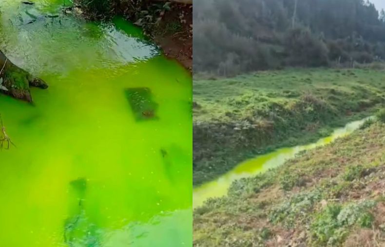 Agua con contaminación la hace tener un color verde fluorescente - Captura de video