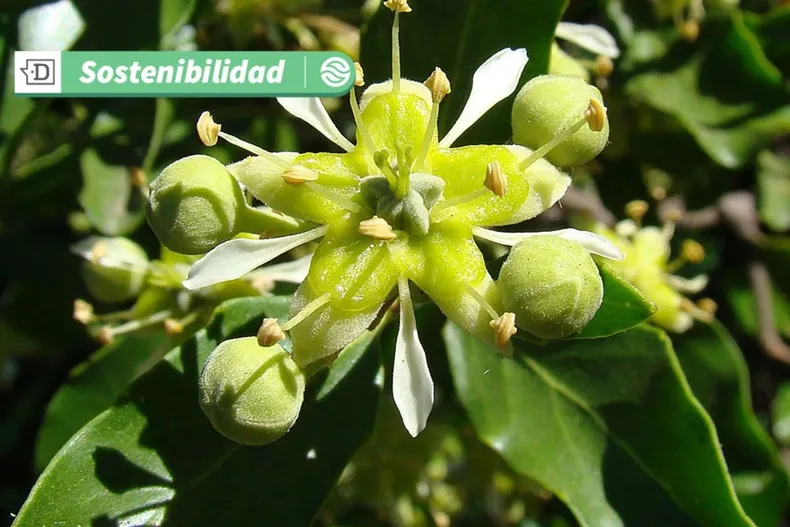 16234 diseno sin titulo 2025 05 23t190325.webp