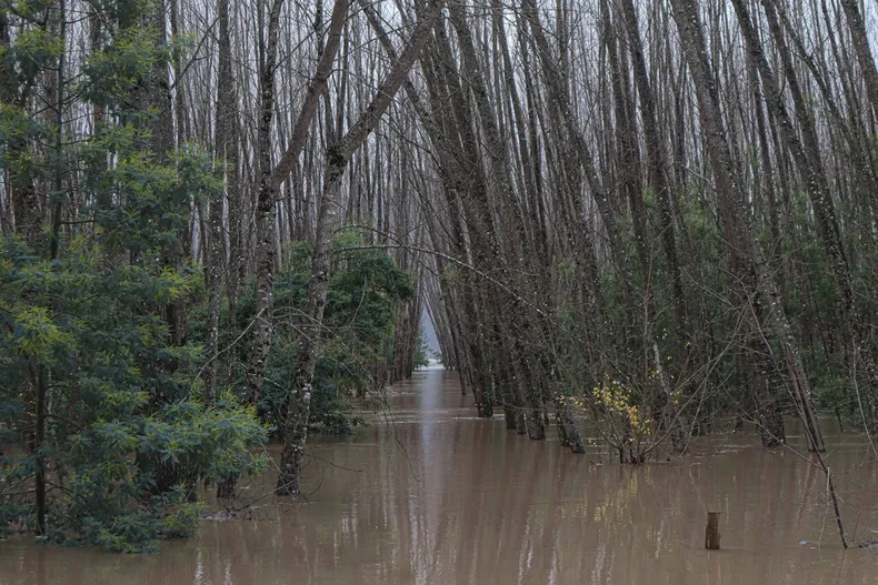 10696 inundaciones.webp