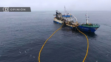 El Desconcierto | Diseno sin titulo 2023 05 08T154743.346.png