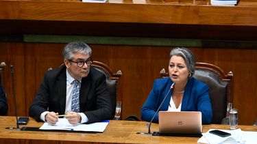 Demócratas hace tambalear reforma de pensiones y gobierno intensifica gestiones para amarrar los 78 votos