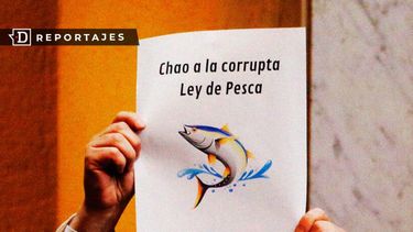 El plan B que permite anular la Ley Longueira y tener una nueva norma de pesca en 2 años