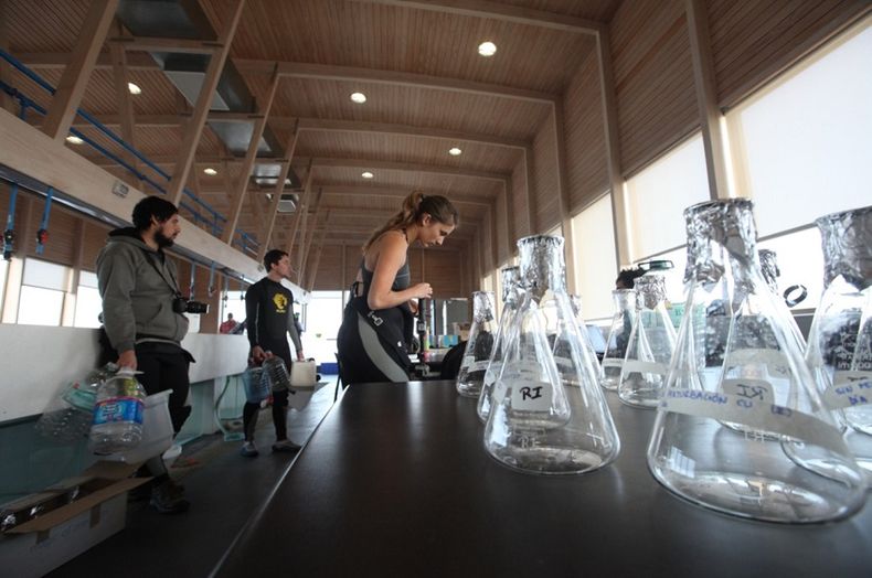 1433 biologas catolica.jpg