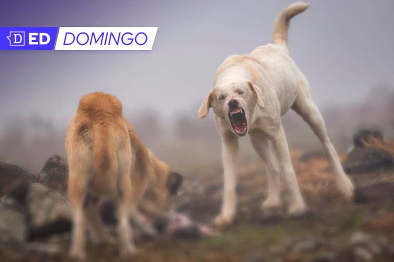 Bienes_comunes_25_sept_ed_domingo 1.jpg