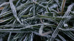 Vecinos de Chillán, Temuco y Puerto Montt vivieron las temperaturas más gélidas en 60 años con ola polar