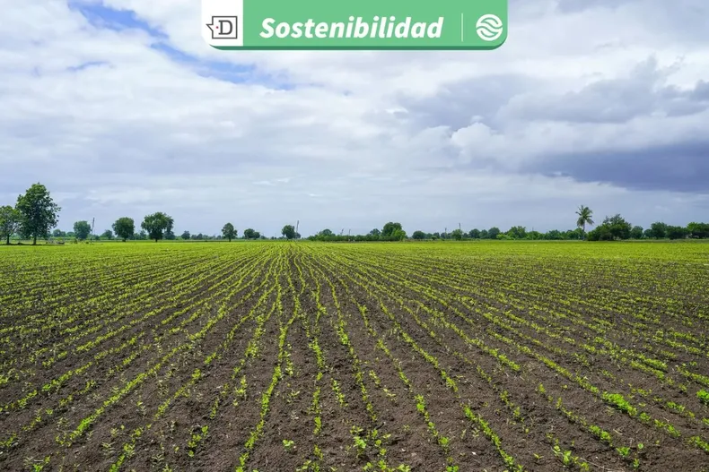 22403 diseno sin titulo 2025 09 11t111715.webp