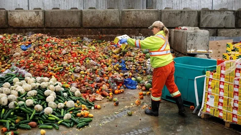 en chile se pierden 5 2 millones de toneladas de alimentos al ano mientras 800 mil personas pasan hambre.webp