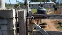 Ocuparon parcela ajena, cerraron accesos, talaron árboles nativos y construyeron casa: Suprema ordena restitución de terreno