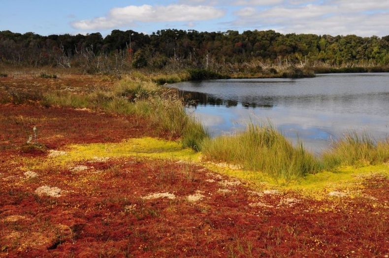 turberas e1640013297563.jpg