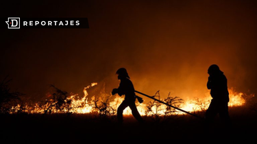 Mayores factores de riesgo ante catástrofes: Ser mujer, de etnia y estrato social bajo